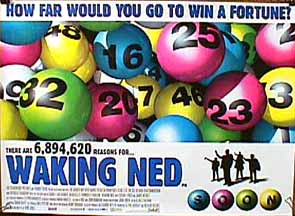 To WAKING NED DEVINE website