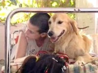 ����� ����