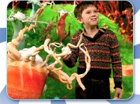 Freddie Highmore as Charlie Bucket