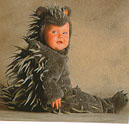 porcupine