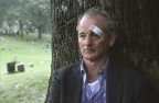 Bill Murray as Don Johnston