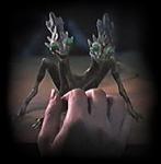 two-headed mutant amphibian