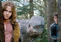 Hermione Granger with Buckbeak and Harry Potter