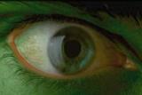 The eye of the HULK